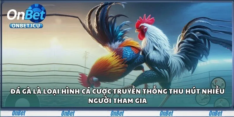 Đá gà là loại hình cá cược truyền thống thu hút nhiều người tham gia